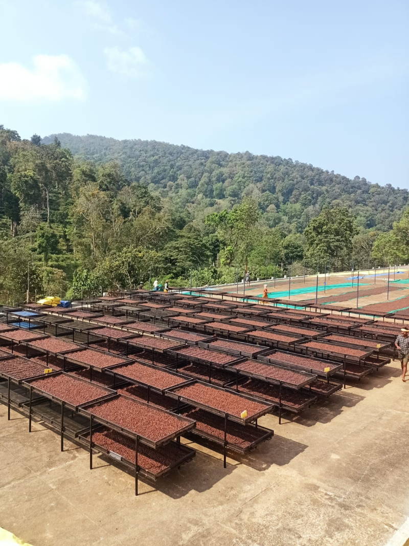Grungegiri Farm